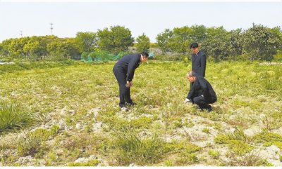 ​足球场几亩地（标准足球场几亩地）