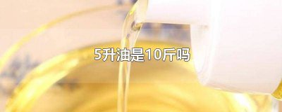 ​5升酒是几斤 5升酒是十斤吗