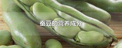 ​蚕豆营养物质多的地方 蚕豆营养物质含量