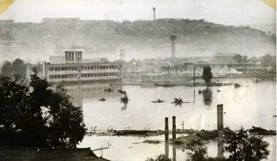 1983年陕西发生洪灾,一个月后街头出现成千上万的蛇,怎么回事?