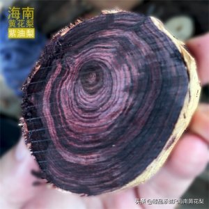 什么是海南黄花梨紫油梨