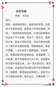 强势来袭!!都市深情经典文,木浮生的《良言写意》熬夜追文