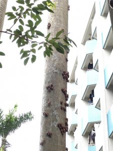 这蜗牛成精了!好恐怖!有密集恐惧症的人勿进